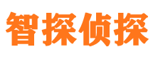 京山市私家侦探